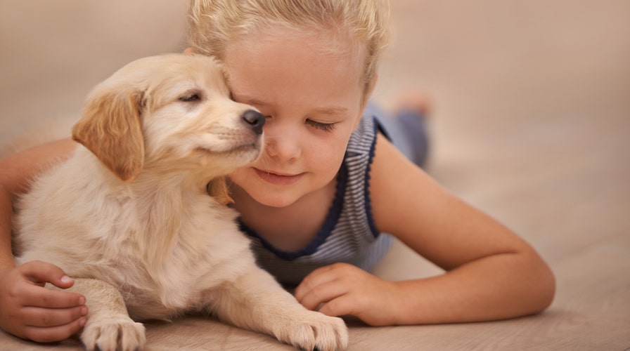 Fast-food toxins, the happiest state, kids favor dogs