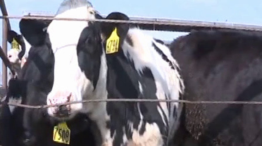 California farmers in race against time