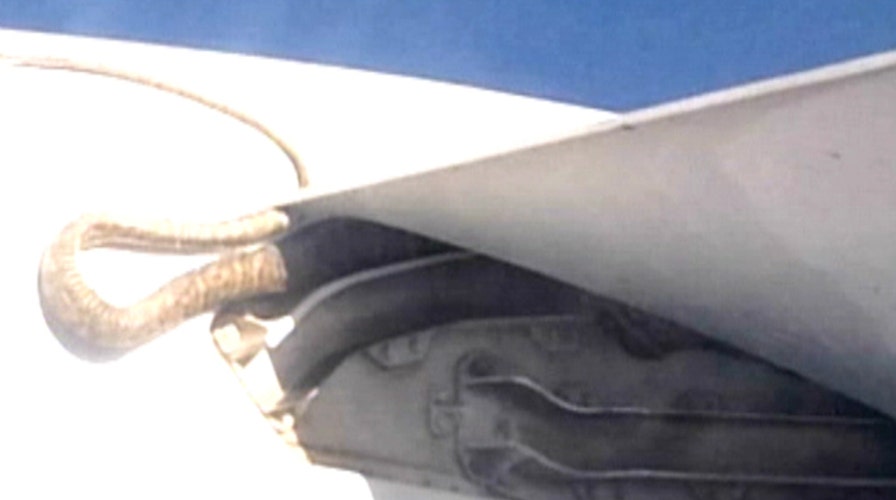 Snake on a plane: Python clings to wing during flight