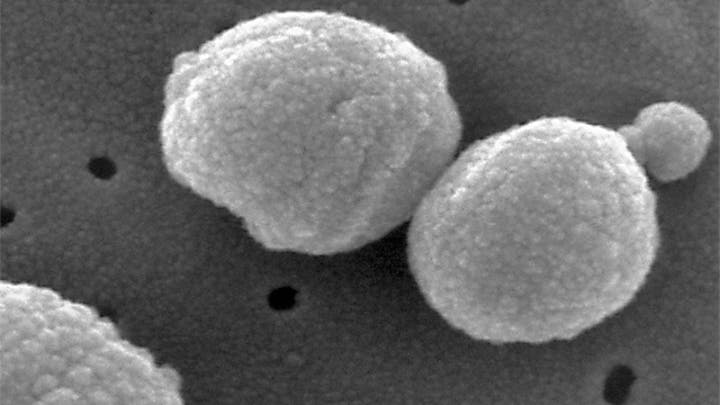 Troubling outbreak of drug-resistant bacteria