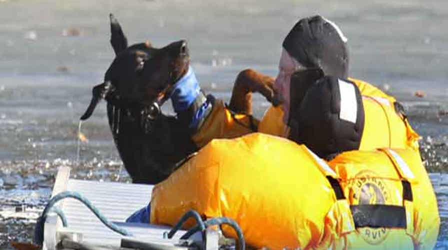 The Good, The Bad & The Ugly