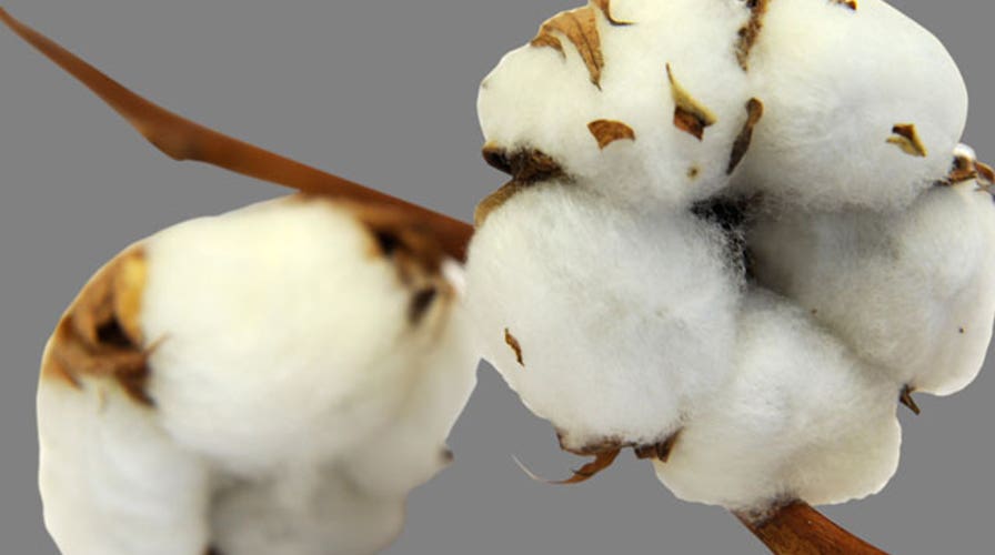 Scared of cotton: Normal or Nuts?