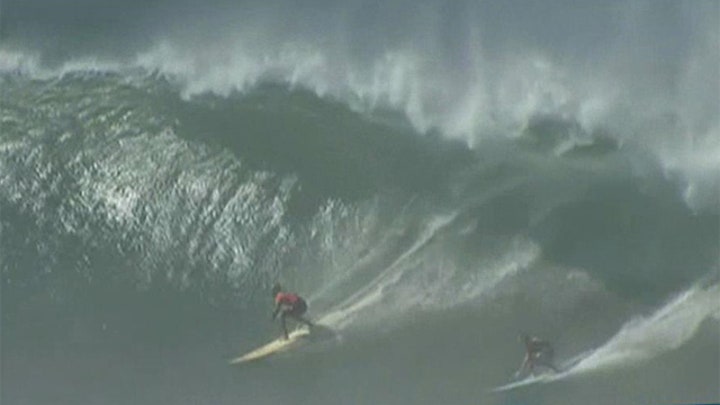 Surf's up: Epic waves crash into Hawaii's North Shore