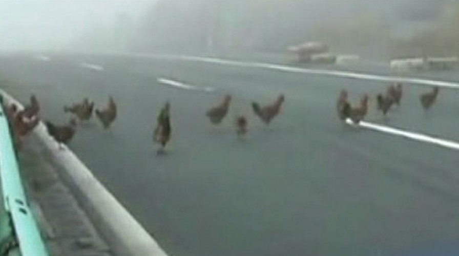 The Good, the Bad and the Ugly