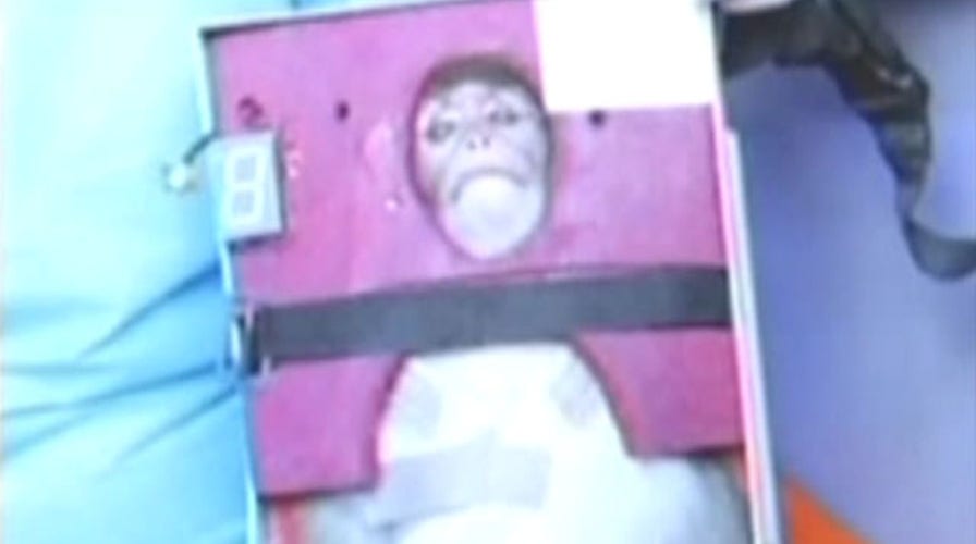 After the Show Show: Iran launches monkey into space