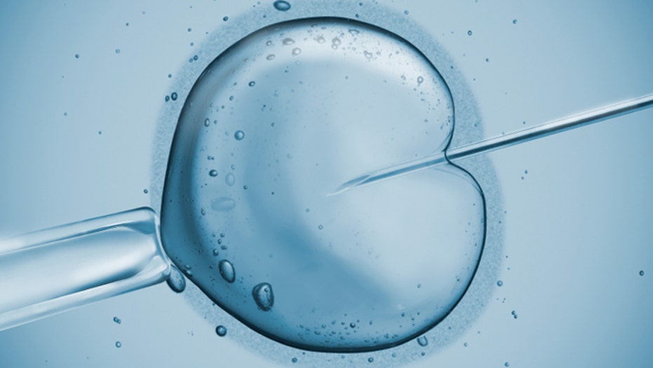 In limbo: Leftover embryos challenge clinics, couples