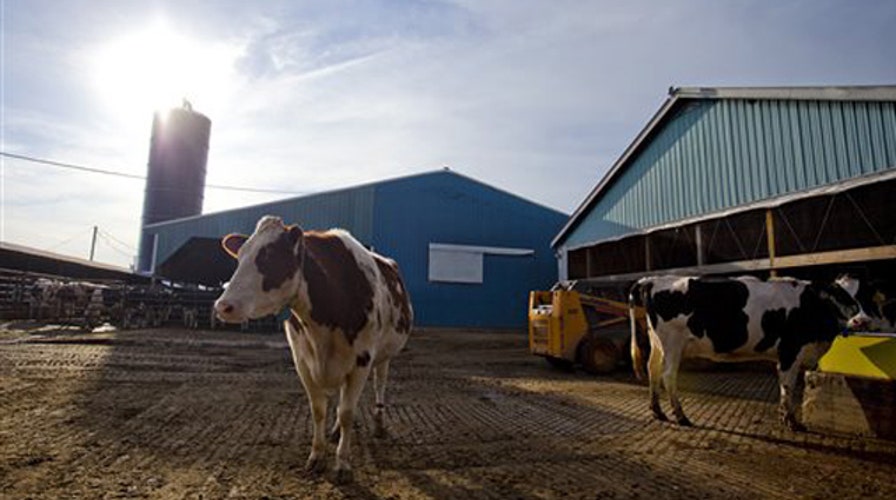 Critics rip massive farm bill over wasteful gov't spending