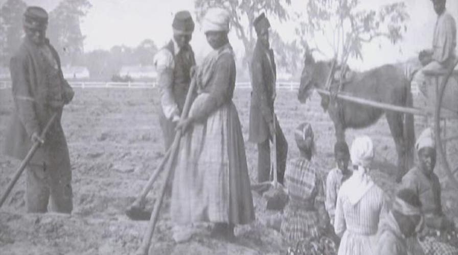 South Carolina's first free slaves