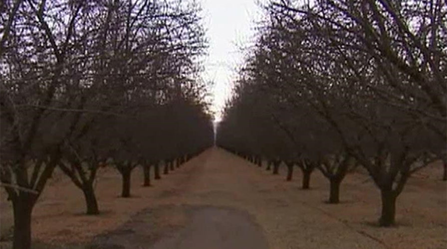 California drought takes its toll on agriculture