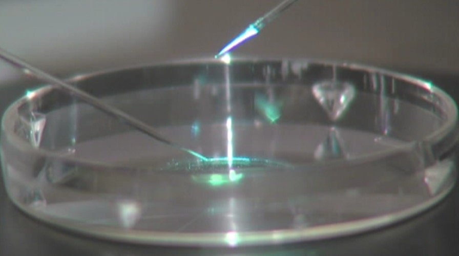Genetically modified babies? FDA weighs fertility procedure