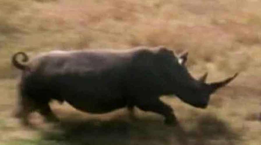 US special ops enlisted to stop poachers