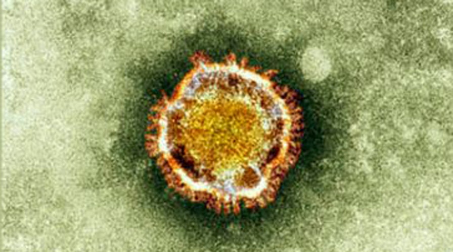 CDC warns of deadly new virus from Middle East