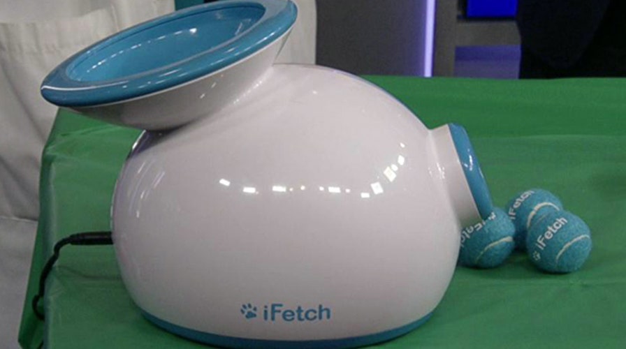 Cool new products for your pet