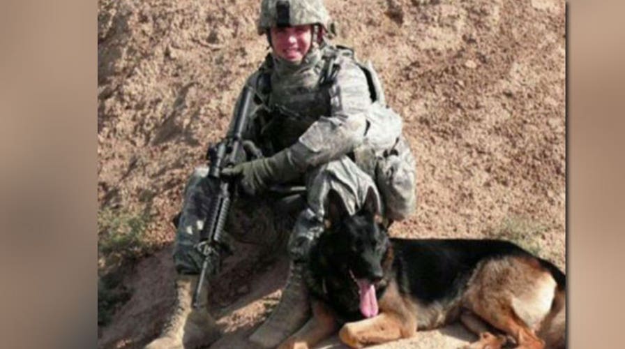 Fox Flash: Heroes reunited