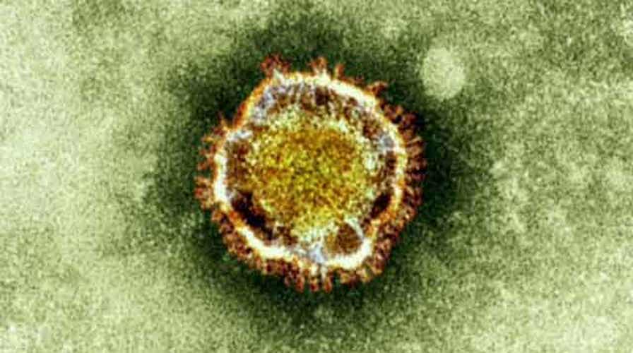 Warning issued over new SARS-like virus