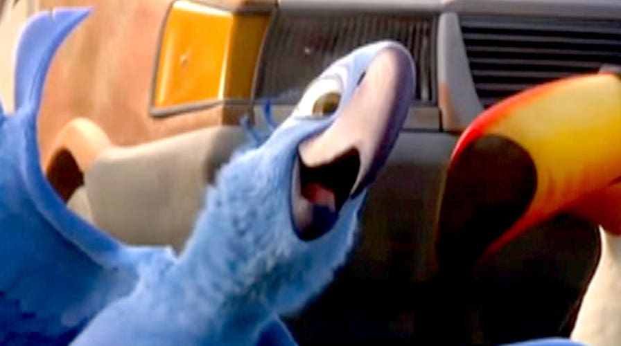In The Foxlight: 'Rio 2'