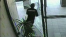 'Pane-ful' getaway attempt for purse-snatcher