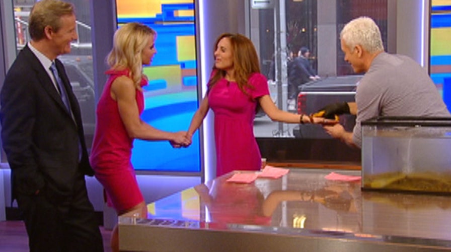 After the Show Show: Jeremy Wade's 'River Monsters'