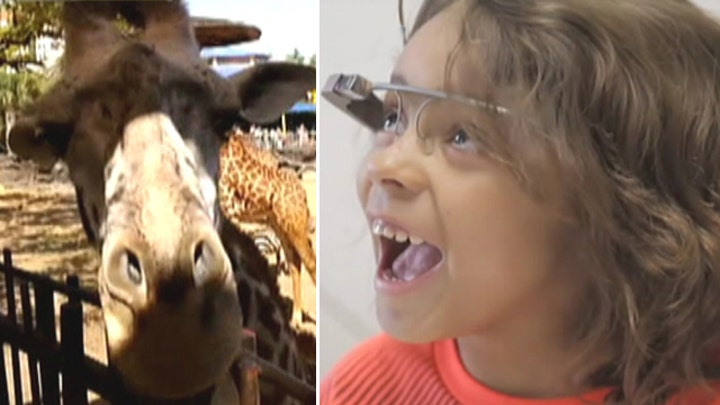 Hospitalized kids experience the zoo through Google Glass