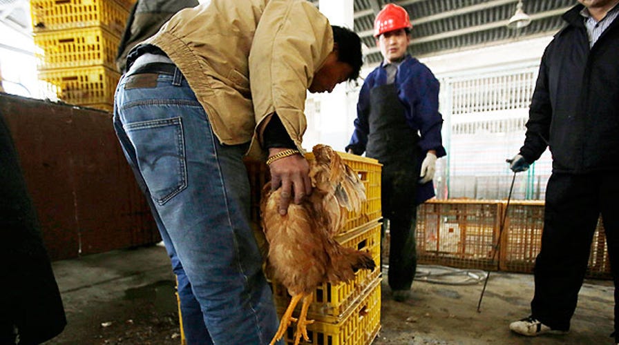 Should you worry about infectious bird flu in China?