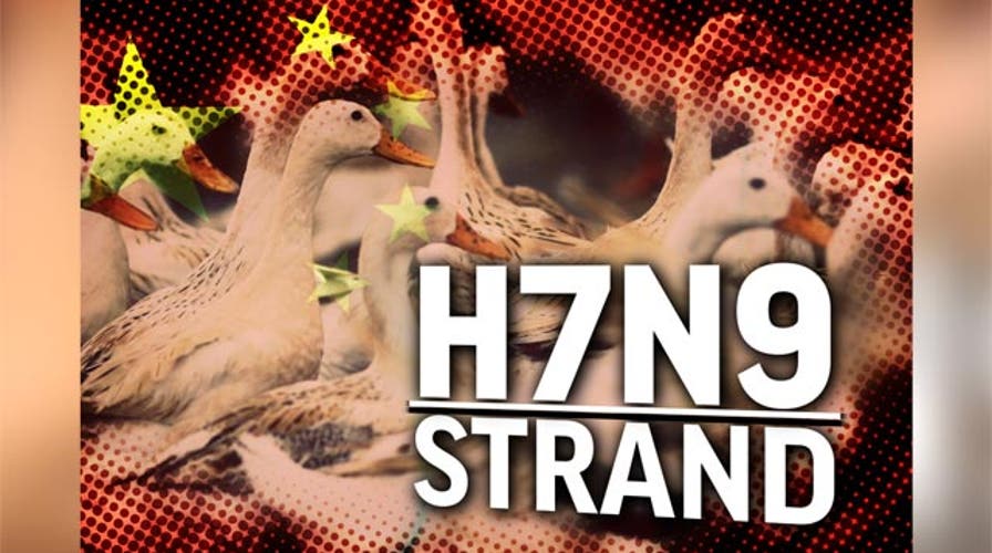 Could new bird flu strain spread across the globe?