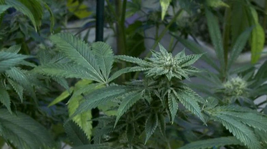 Did pot legalization do more harm than good in Colorado?