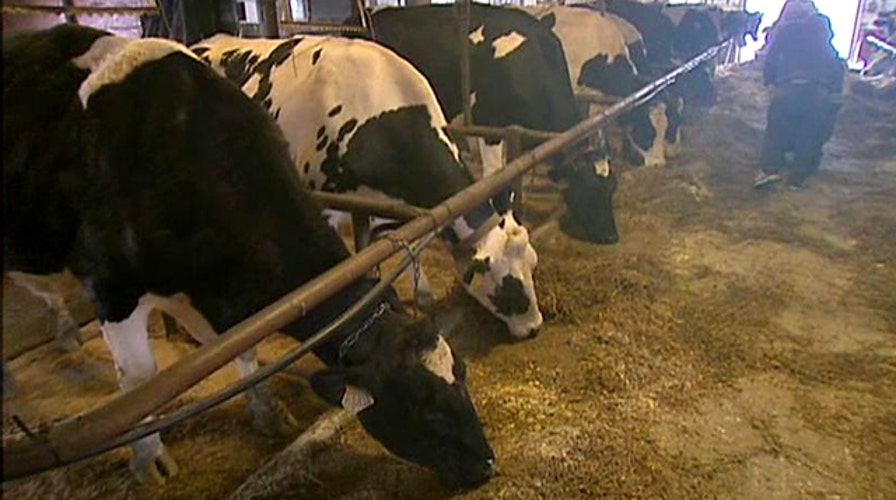 Money in manure? Unusual renewable energy source