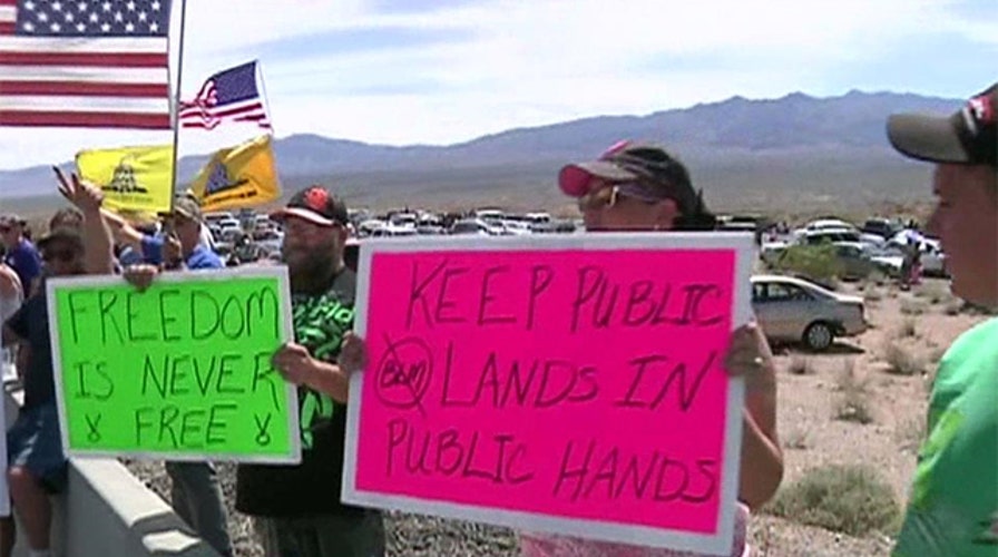 Federal gov't ends Nev. cattle round-up over safety concerns