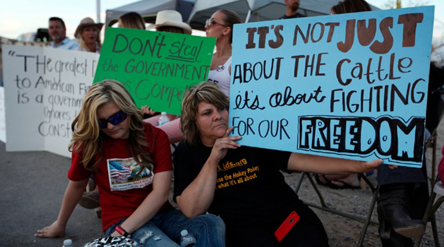 Land of the free? Rancher battling feds to protect cattle