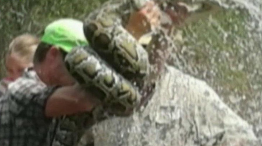 Tour boat guide wrestles python