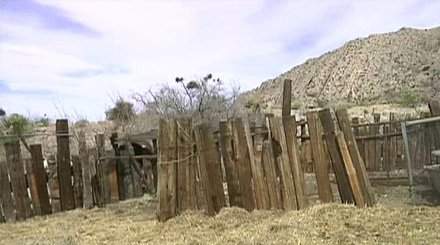 Bulls killed, property damaged during standoff at NV ranch