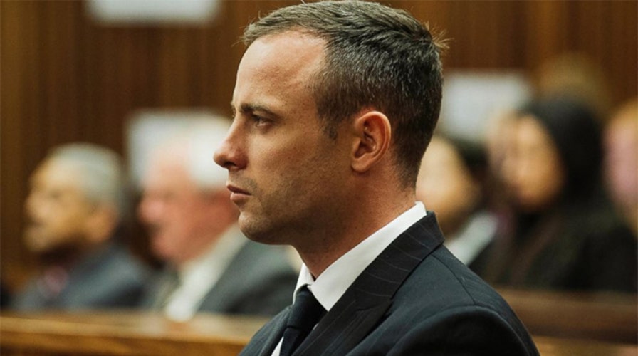 Prosecutor tries to discredit Pistorius defense expert 
