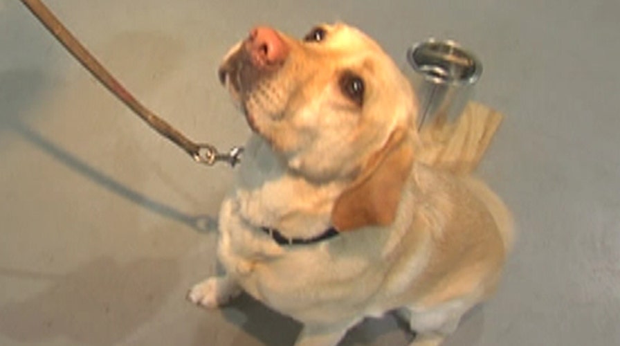 Police ramp up security at this year's Boston Marathon