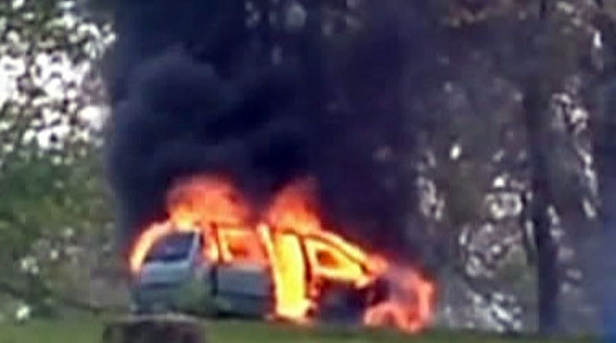 Car fire traps family in drive-thru lion safari