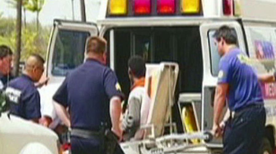 Teen stowaway survives flight to Hawaii