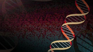 Study: Genes may help determine pain threshold - Fox News