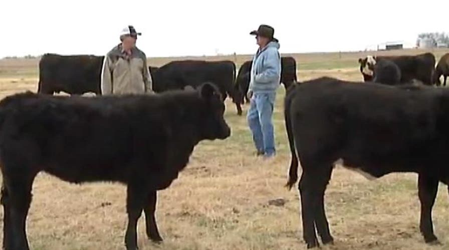 Bundy Effect: Why Texas ranchers worry about a land grab