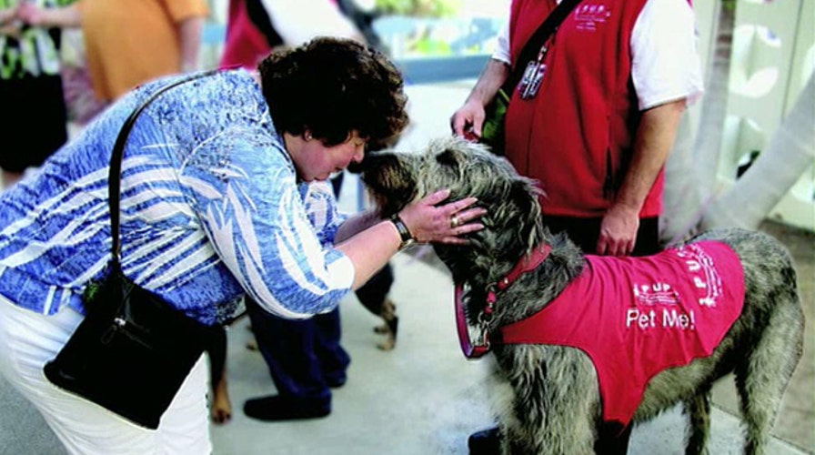 LAX PUP program celebrates one-year anniversary 