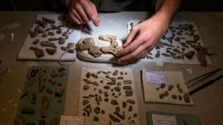 Dinosaur hunters discover fossil treasure in Utah desert - Fox News