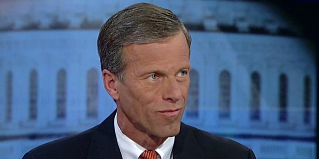 Thune Why I questioned the IRS's motives Fox News Video