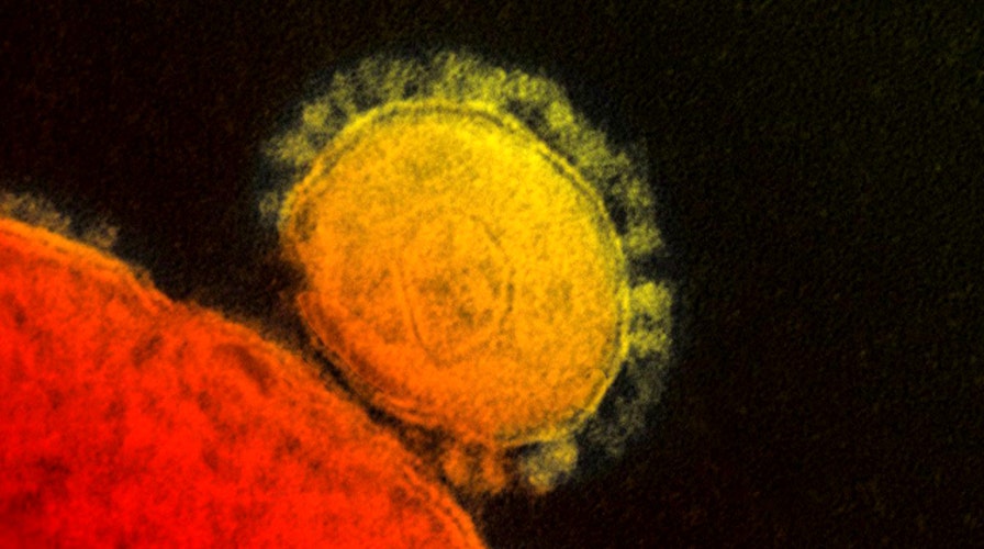 CDC confirms second case of deadly MERS virus in US