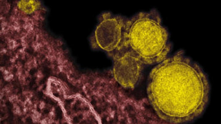 Two Florida health care workers sick after exposure to MERS