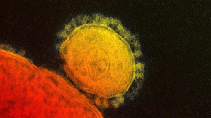 CDC reports first case of MERS caught by contagion