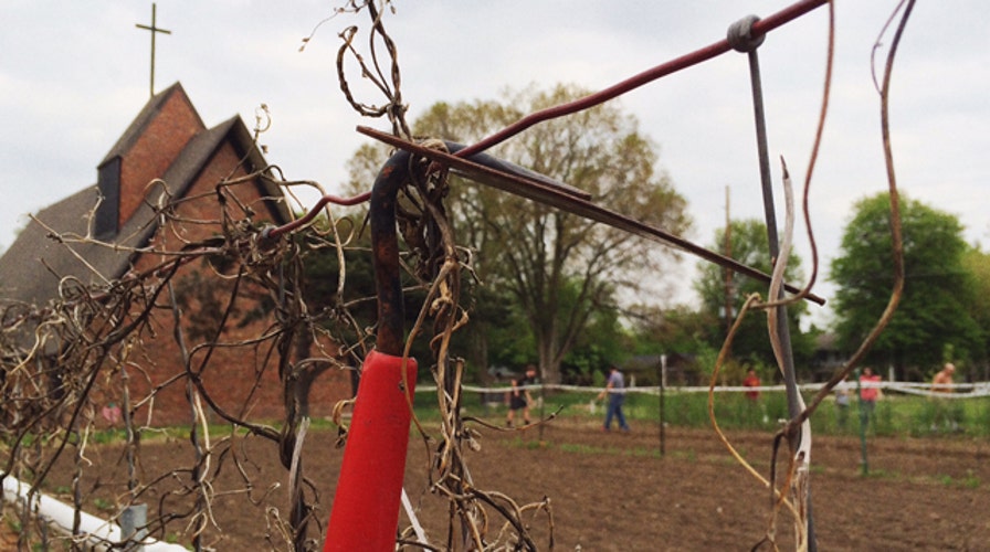 Gardens rooted in faith feed the hungry