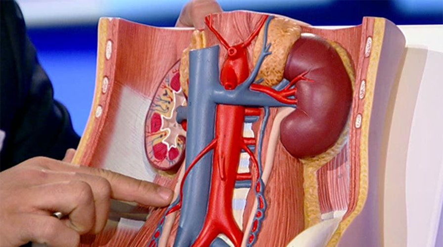 Kidney stones: symptoms and treatment