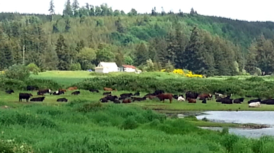 Anger over EPA 'water grab'