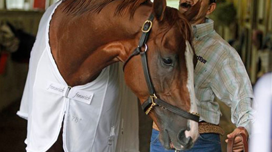 Exclusive: A day with California Chrome