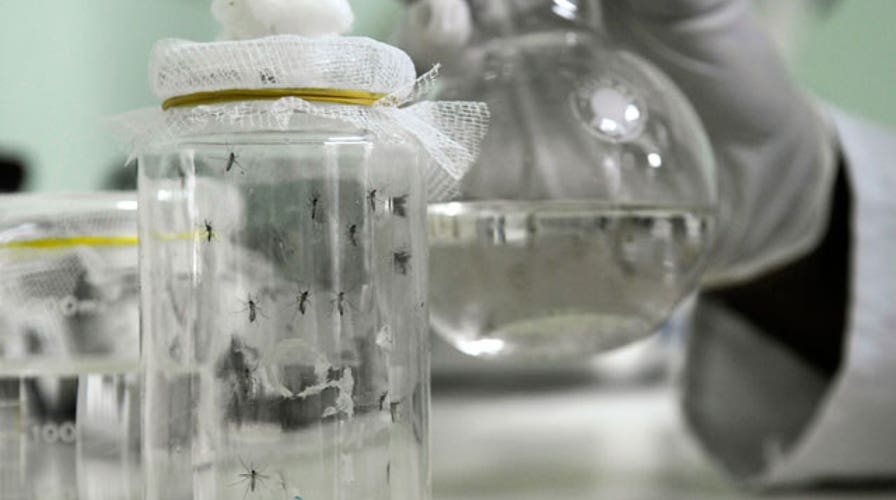 Mosquito fears, brain anti-aging secret, fittest cities