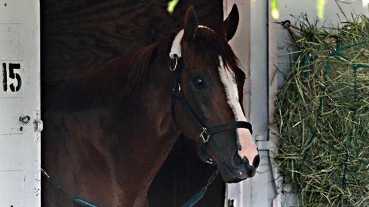California Chrome set to race for Triple Crown