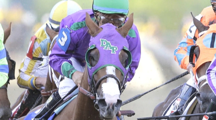 Breathing easy strip intended for horse's health, not speed